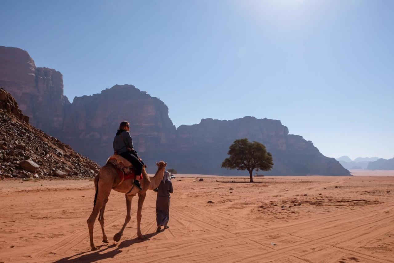 Wadi Rum Bedouin Camp And Desert Tours Экстерьер фото
