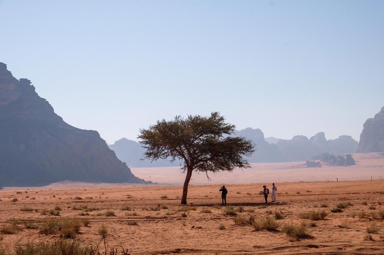 Wadi Rum Bedouin Camp And Desert Tours Экстерьер фото